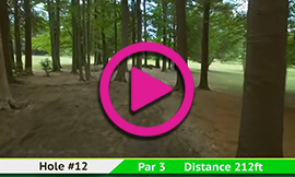 Hole 12